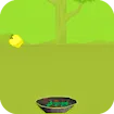 Apples