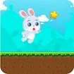 Bunny Adventure