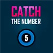 Catch The Number