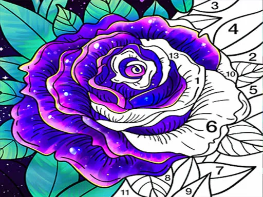 Coloring Book Color by Number
