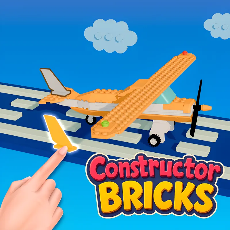 Constructor Bricks