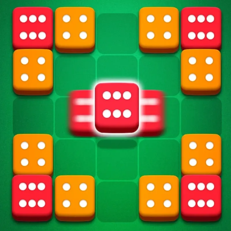 Dice Puzzle