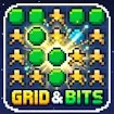 Grid and Bits