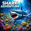 Shark Adventure